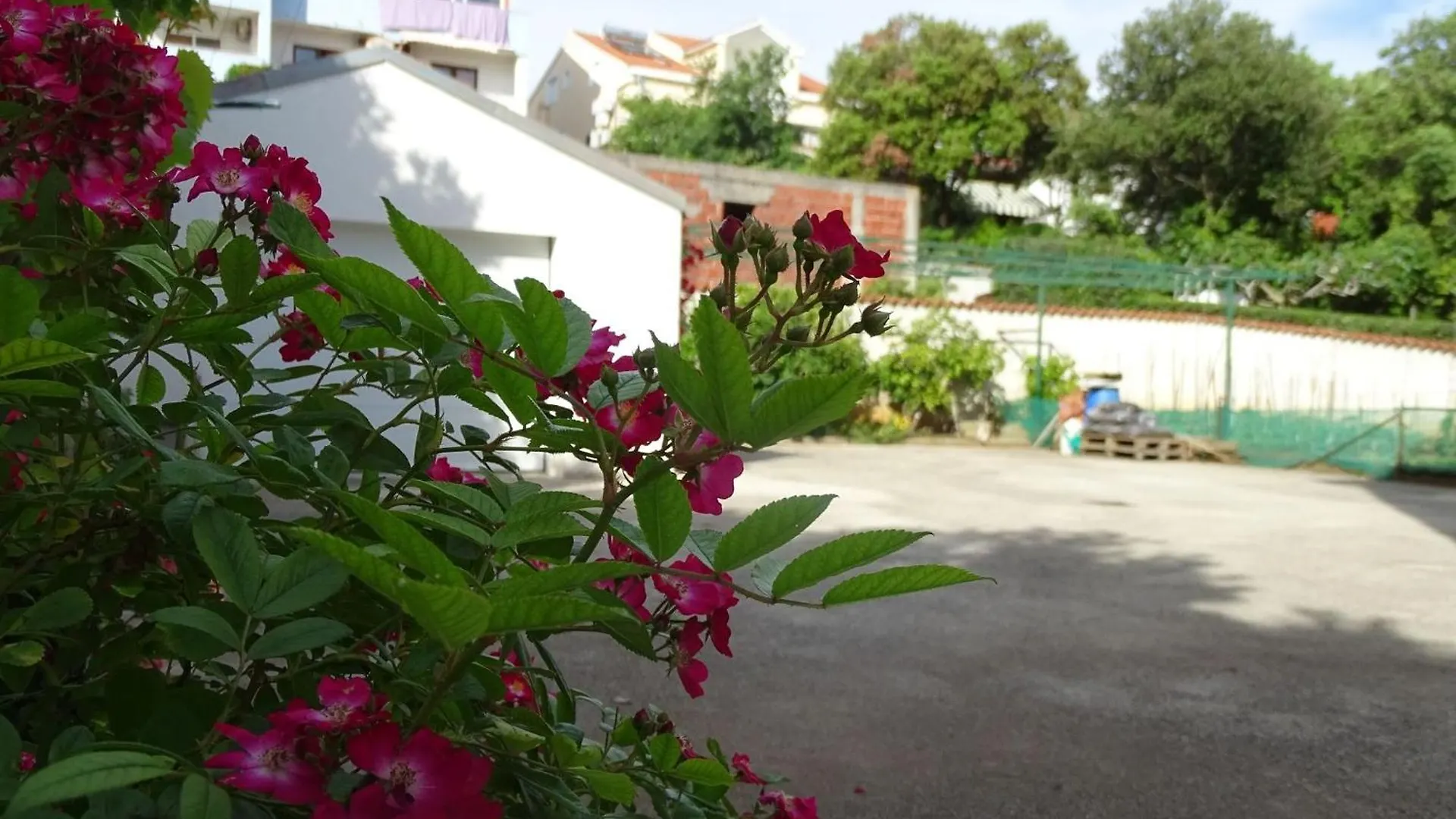Wohnung Vlahov Kožino Διαμέρισμα